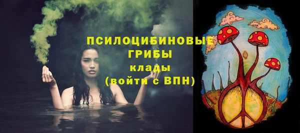 прущий лед Гусь-Хрустальный