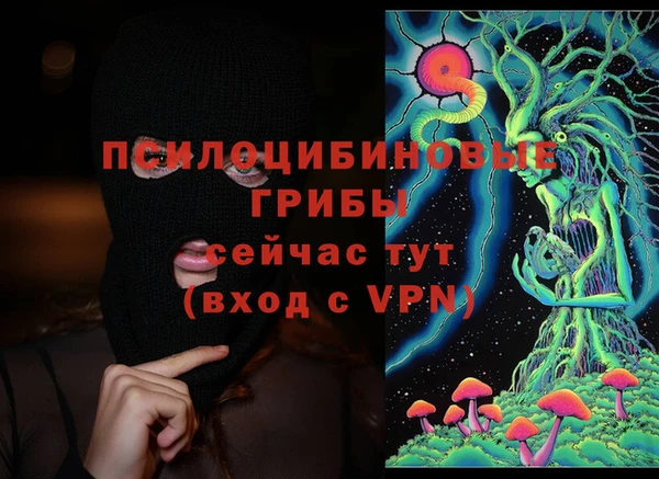 прущая мука Гусиноозёрск