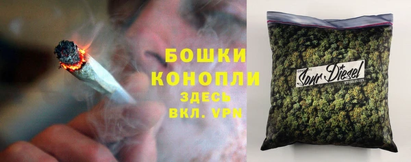 прущая мука Гусиноозёрск