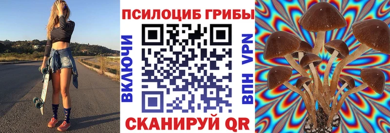 Галлюциногенные грибы прущие грибы  наркошоп  KRAKEN маркетплейс  Нижний Новгород 